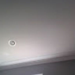 Meet your Posher, Bella